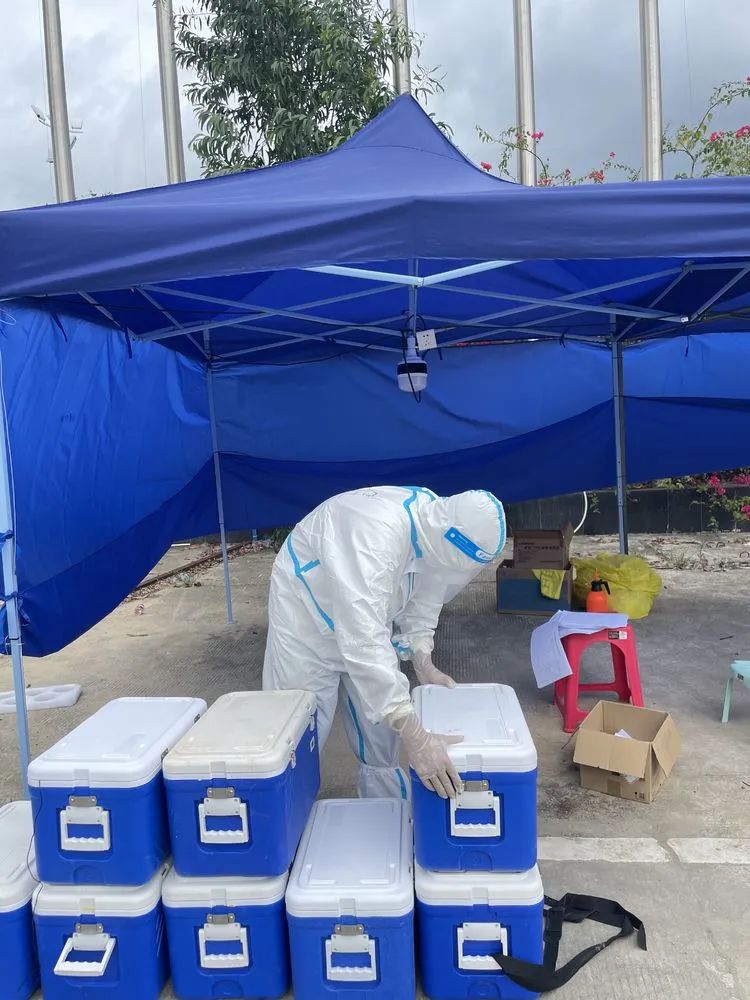 1649292280376084.jpg 6.jpg